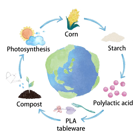 About PLA:Environmentally Friendly